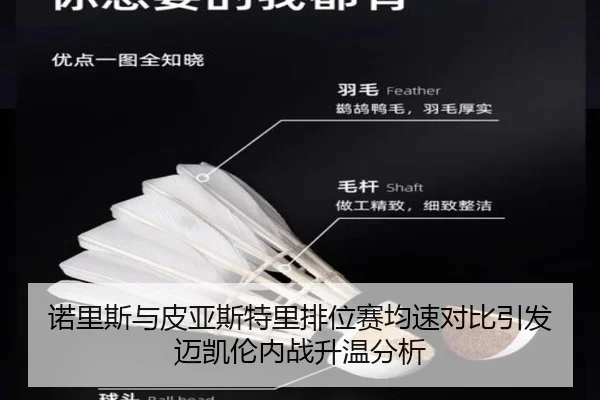 诺里斯与皮亚斯特里排位赛均速对比引发迈凯伦内战升温分析