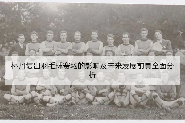 林丹复出羽毛球赛场的影响及未来发展前景全面分析